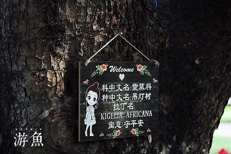 逗小猴开心系列191