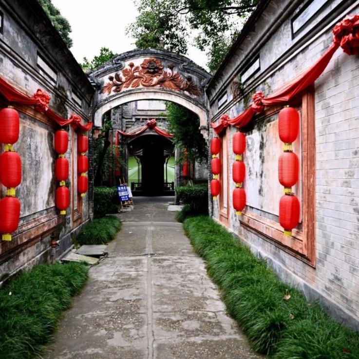 寻找奈良树花
